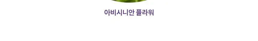 [열보호] 루시도엘 하이 데미지 리페어 헤어 마스크 (산열 트리트먼트 팩)200g 상세페이지 10